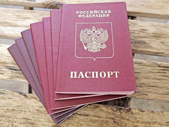 прописка в Ельне
